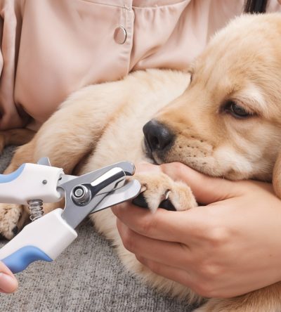 Nail Trim & File Only